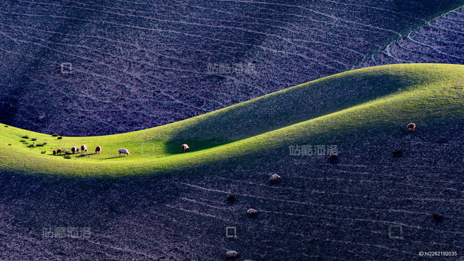 中国新疆伊犁草原风光