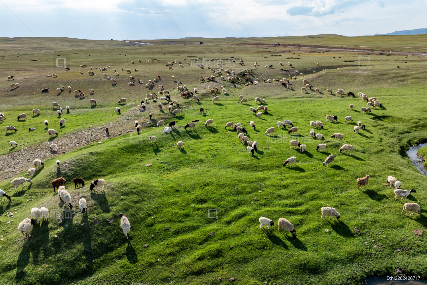 中国新疆巴音郭楞州和静县巴音布鲁克大草原
