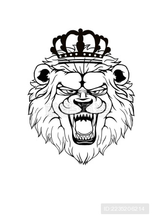 网址 编辑图片 如何选择 标准授权 扩展授权 jpg 大图 2480 x 350821