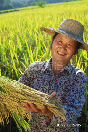 幸福亚洲女性农民拿着金饭碗的笑容在水稻
