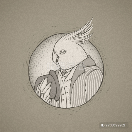 复古风格鸟类拟人插画 穿着大衣的巴丹鹦鹉