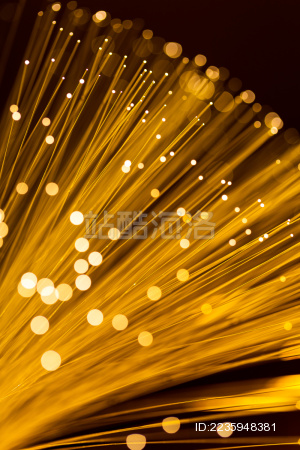 golden fibre optic light strand