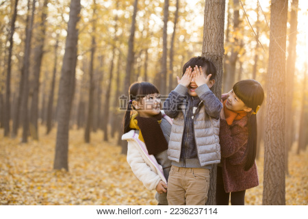 三个小孩在树林里玩捉迷藏