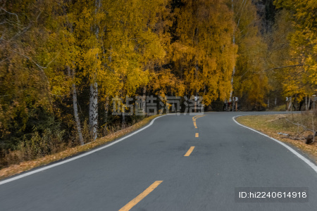中国新疆秋天的山路