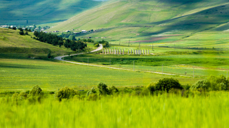 亚美尼亚的牧场