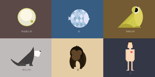 单细胞生物鱼两栖动物哺乳动物猿人