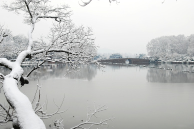 冬 杭州西湖 雪