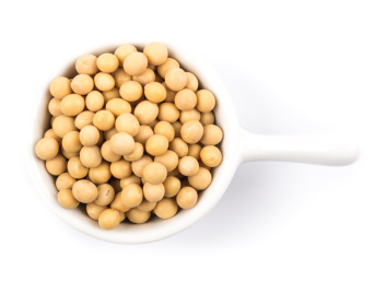 Soybean