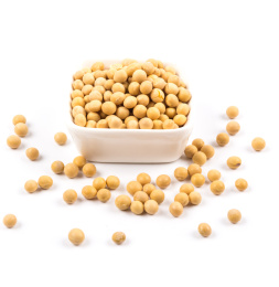 Soybean
