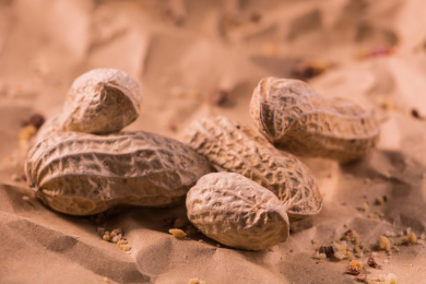 peanut