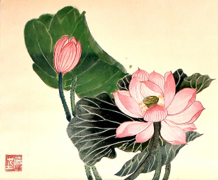 国画工笔荷花