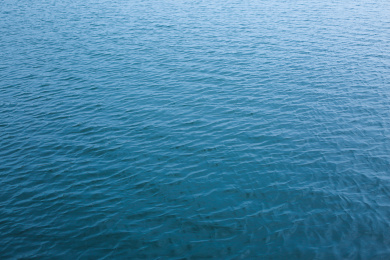 东湖的湖面