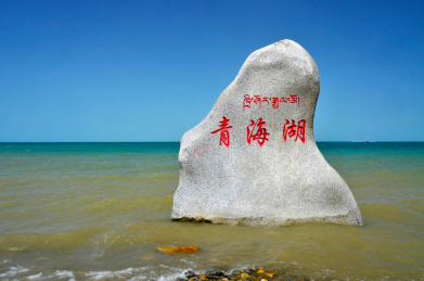 青海湖标志 Qinghai lake logo