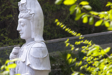 树丛中的观音像