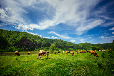 黑龙江漠河风光