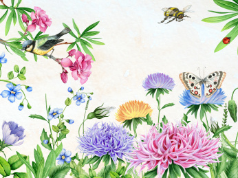唯美手绘植物花朵小鸟蝴蝶蜜蜂