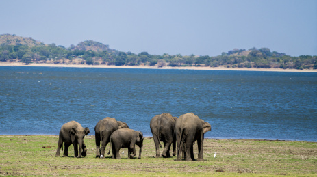 斯里兰卡 Sri Lanka