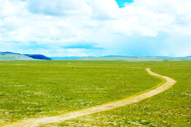 青藏高原青葱草原上的一条曲线优美的小路