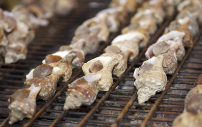 烤风螺 白天 彩色