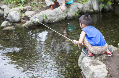 北海道,日本,亚洲,钓鱼,小孩