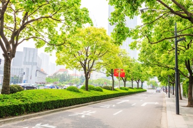 中国上海外滩城市道路