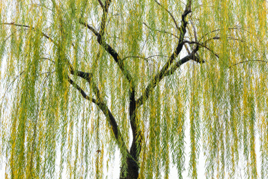 当前共0个图片素材