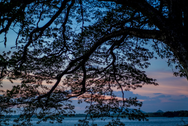 斯里兰卡 Sri Lanka的湖边黄昏