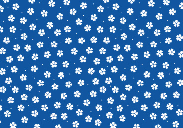 和风白色樱花 背景素材