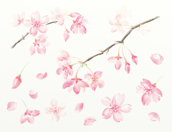 樱花水彩图案元素