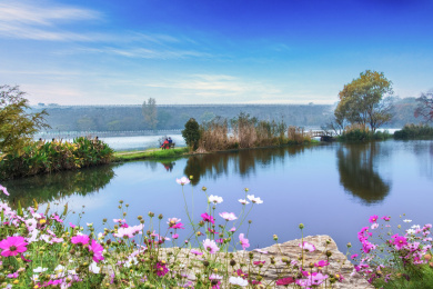 南京市中山植物园景观