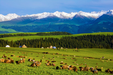 中国新疆喀拉峻草原