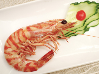 九节虾 一个物体 健康食物