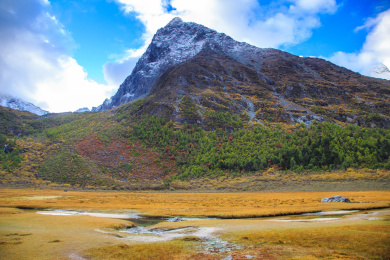 稻城亚丁洛绒牛场层林尽染秋天的景色