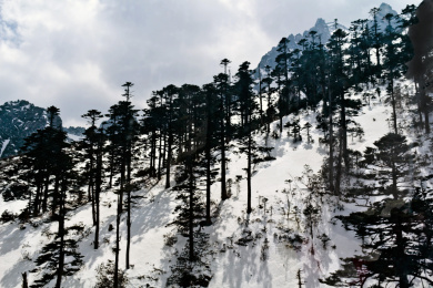云南省丽江市玉龙雪山景观