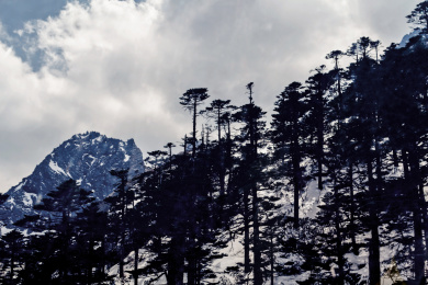 云南省丽江市玉龙雪山景观