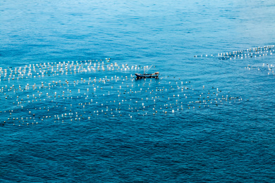 浙江省舟山市东极岛海湾景观