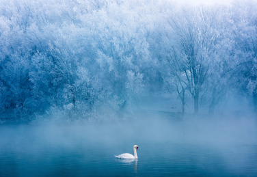 中国新疆伊犁天鹅泉