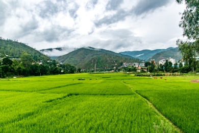 大理州南涧县乡村田园景观