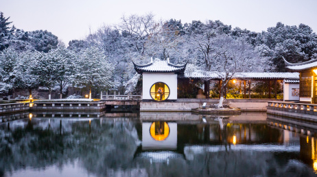 红梅公园雪景