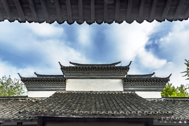 captured in hangzhou xixi wetland scener