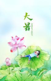 大暑荷花
