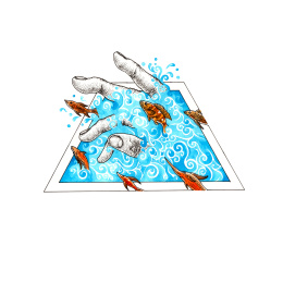 与水 水语