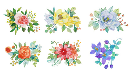 玫瑰花插图