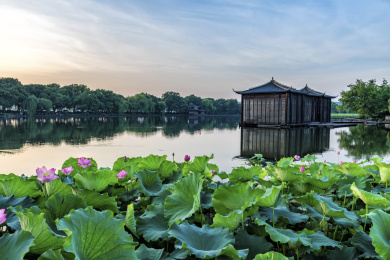 杭州西湖曲院风荷 印象西湖