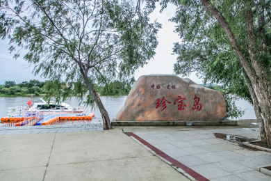 黑龙江省饶河县乌苏里江珍宝岛湿地景观