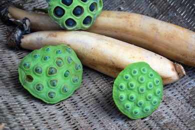 新鲜的莲蓬和莲藕 莲藕