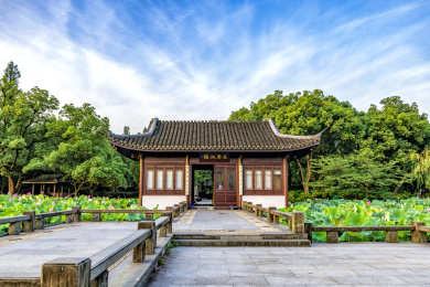 杭州西湖风光 曲院风荷