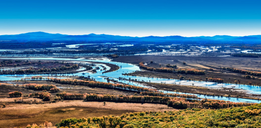 黑龙江省饶河县乌苏里江珍宝岛湿地景观