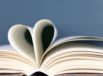 爱心,书籍,教育