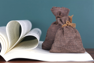 书本上的钱袋子